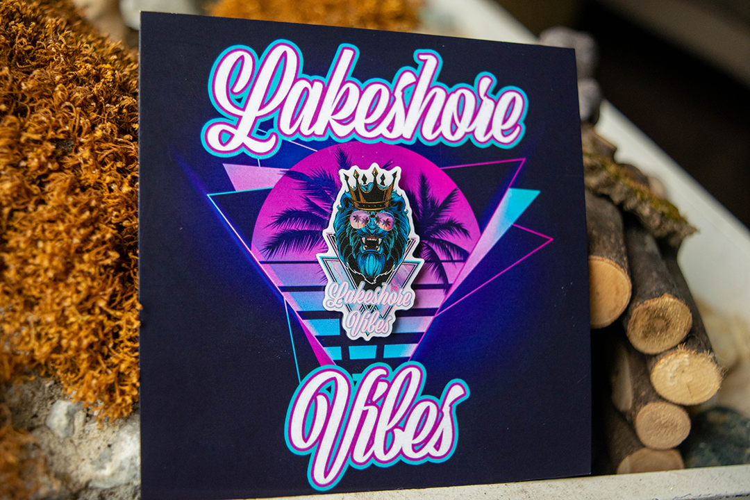 Lakeshore Vibes Pin with art card