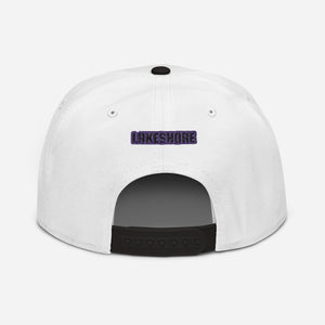 Villain Vibes PURPLE 3D Puff Snapback Hat