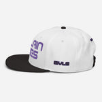 Load image into Gallery viewer, Villain Vibes PURPLE 3D Puff Snapback Hat
