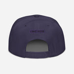 Load image into Gallery viewer, Villain Vibes PURPLE 3D Puff Snapback Hat
