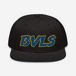 Load image into Gallery viewer, BVLS 3-D Puff Snapback Hat
