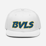 Load image into Gallery viewer, BVLS 3-D Puff Snapback Hat
